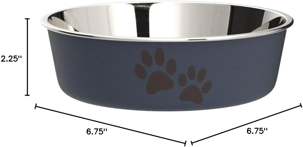 Stainless steel cat bowl - spill proof cat bowl, essential items for cats and pets