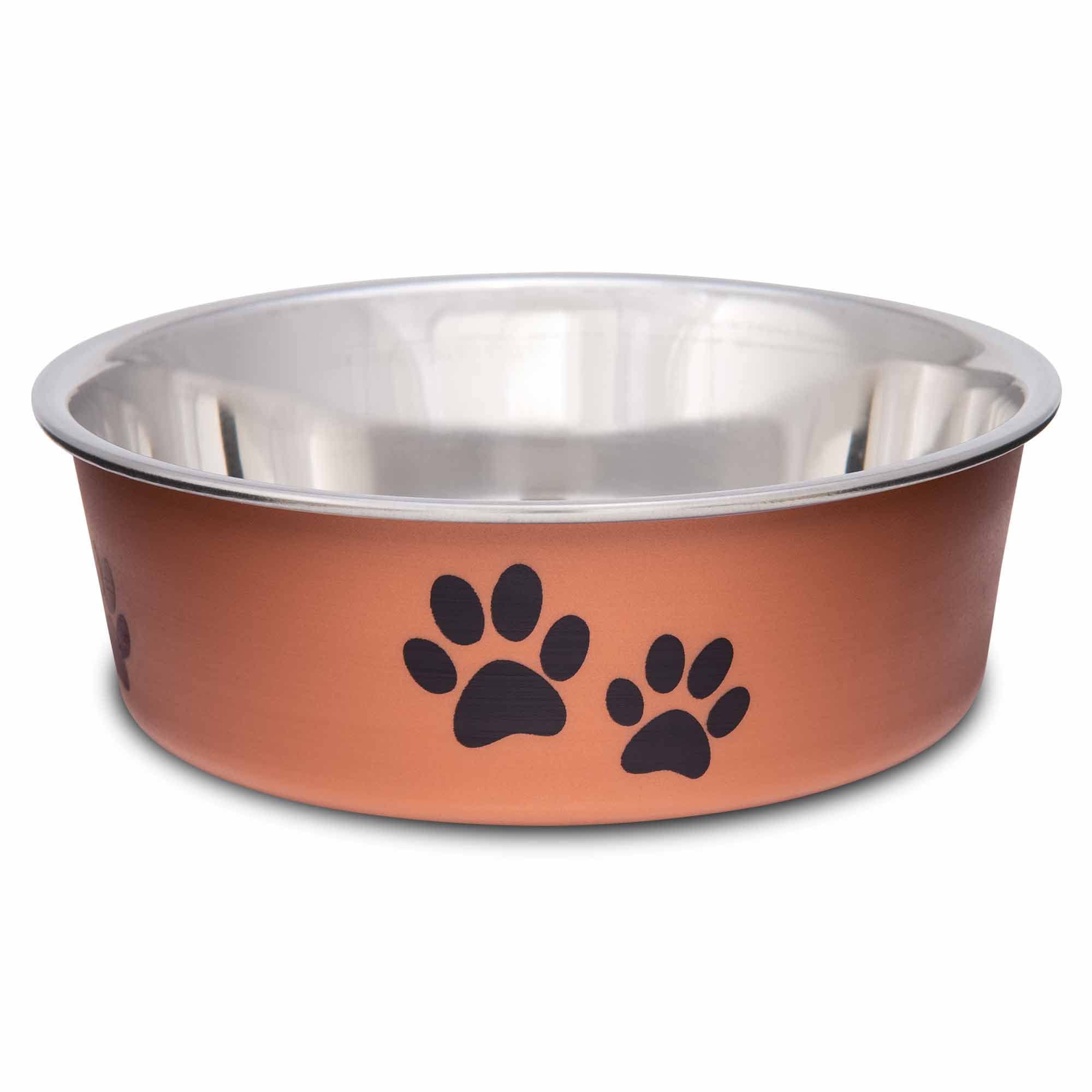 Stainless steel cat bowl - spill proof cat bowl, essential items for cats and pets