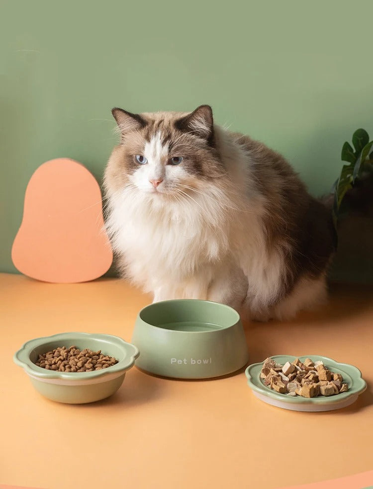 Circular colored pet feeding dish/pet feeding bowl