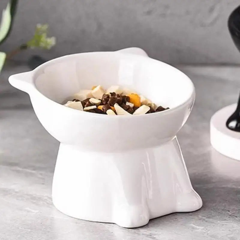 Elevated anti tilt cat bowl neck protection dual-use pet food and water dispenser