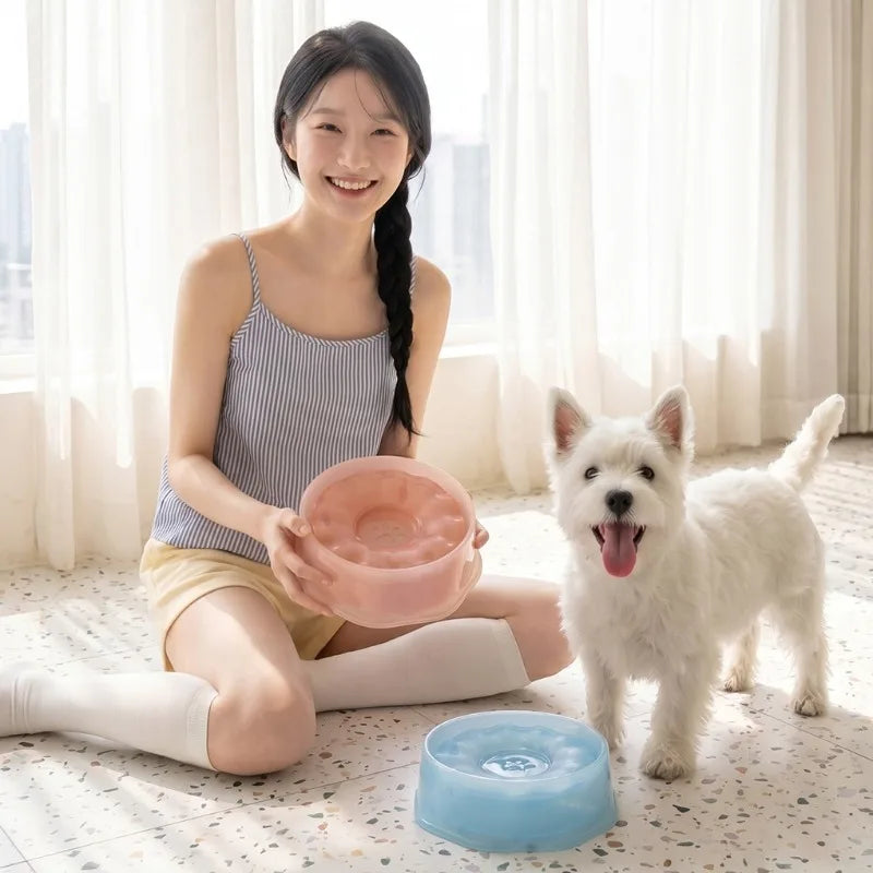 1200ML Summer Pet Cooling Bowl Water Bowl Non Wet Mouth Pet Drinking Bowl Portable
