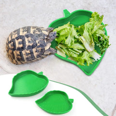 Two-Piece Leaf Design Bowl Plate for Reptiles and Small Animals