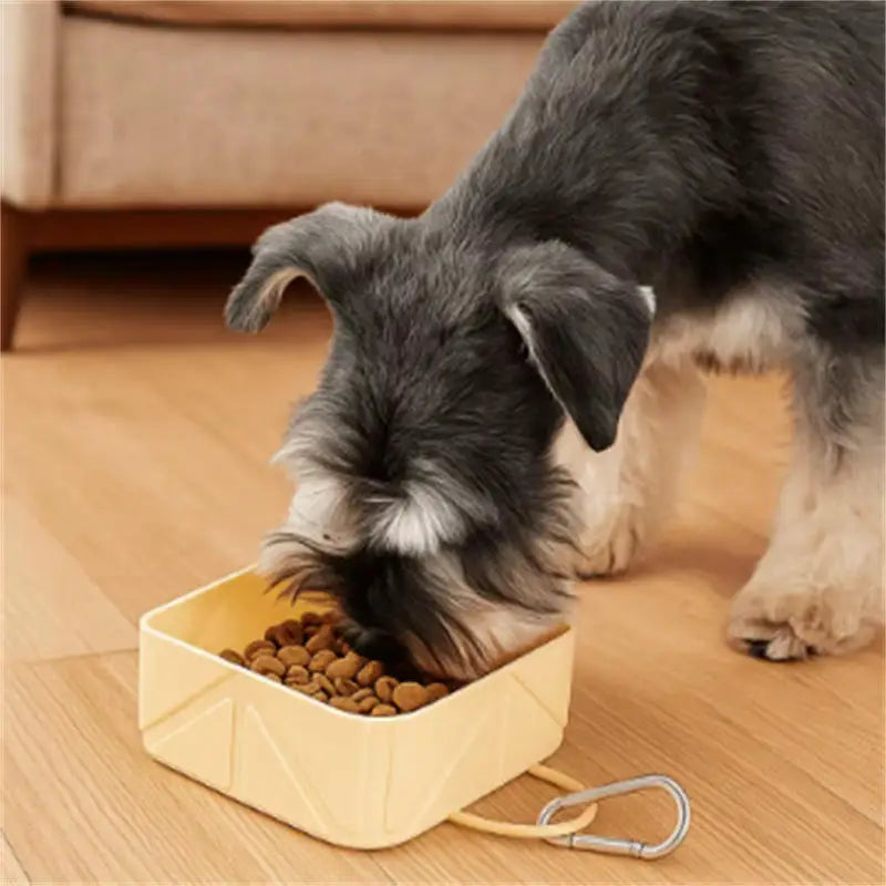 Travel pet accessories, lightweight, anti slip, foldable pet bowl, hiking buckle