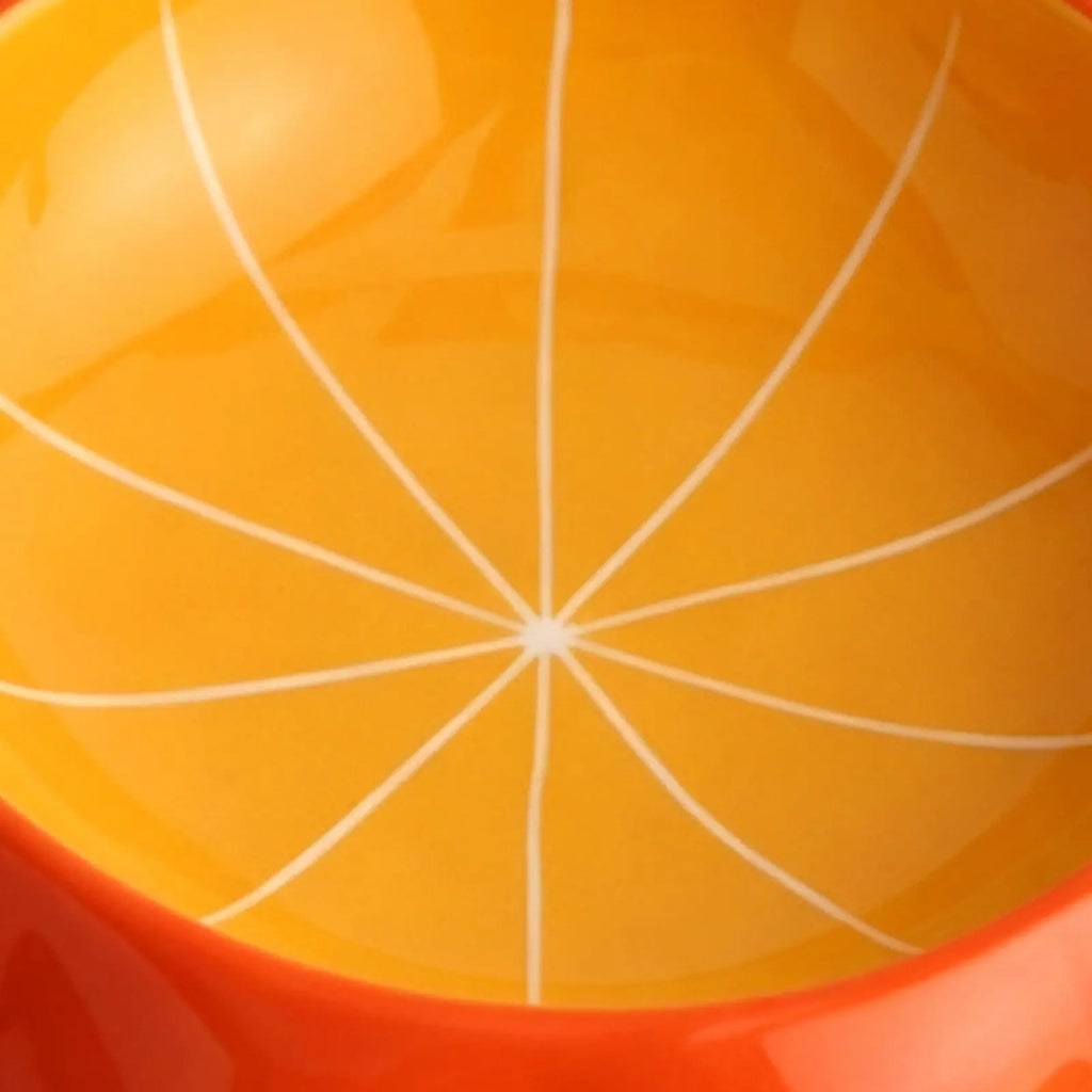 Fruit patterned pet feeding bowl