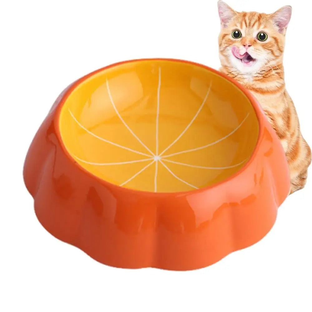 Fruit patterned pet feeding bowl