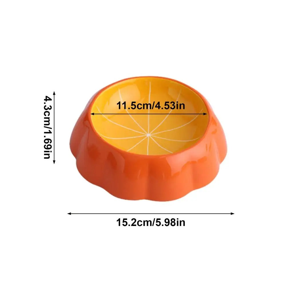 Fruit patterned pet feeding bowl